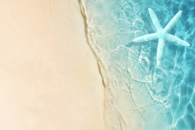 自然派化粧品 くれえる