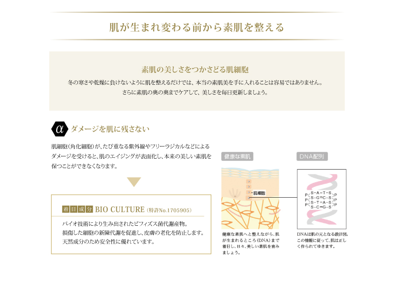 美白クリーム 薬用美白 薬用 ααアンメランC